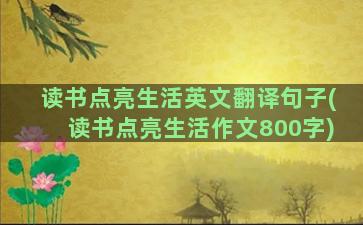 读书点亮生活英文翻译句子(读书点亮生活作文800字)