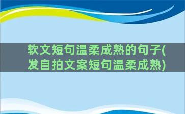 软文短句温柔成熟的句子(发自拍文案短句温柔成熟)