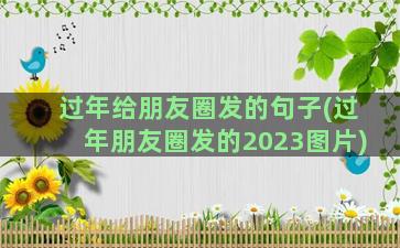 过年给朋友圈发的句子(过年朋友圈发的2023图片)