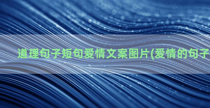 道理句子短句爱情文案图片(爱情的句子短句幸福)