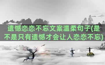 遗憾恋恋不忘文案温柔句子(是不是只有遗憾才会让人恋恋不忘)