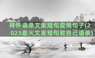 释怀语录文案短句爱情句子(2023最火文案短句致自己语录)