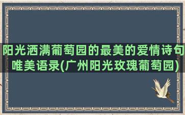 阳光洒满葡萄园的最美的爱情诗句唯美语录(广州阳光玫瑰葡萄园)