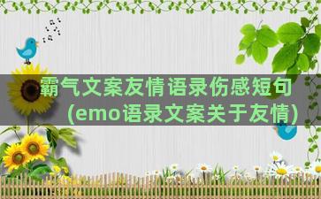 霸气文案友情语录伤感短句(emo语录文案关于友情)