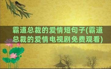 霸道总裁的爱情短句子(霸道总裁的爱情电视剧免费观看)