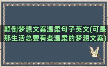 颠倒梦想文案温柔句子英文(可是那生活总要有些温柔的梦想文案)